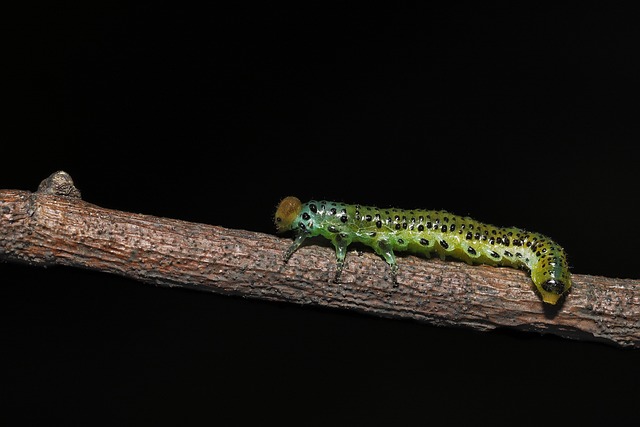 mapa de eventos analiticos con etiquetas consistentes