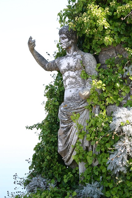 flujo de trabajo automatizado con tareas y checklists